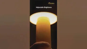 Porci Cordless LED Portable Table Lamp | Modern, Rechargeable & Stylish Lighting!